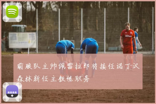 前狼队主帅佩雷拉即将接任诺丁汉森林新任主教练职务